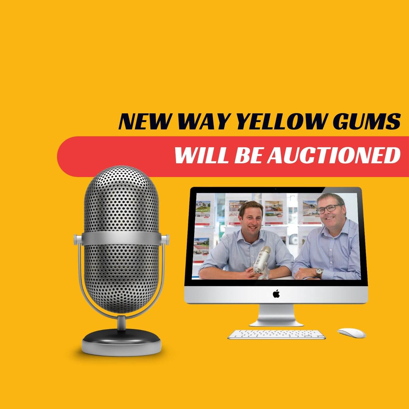 EP516 - New Way Yellow Gums Will Be Auctioned